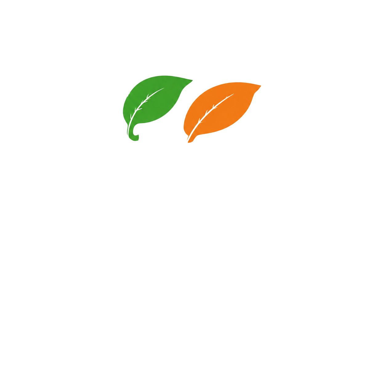 Blendes بلندز